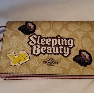 Coach x Disney